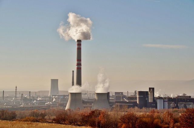 Nuclear plantation